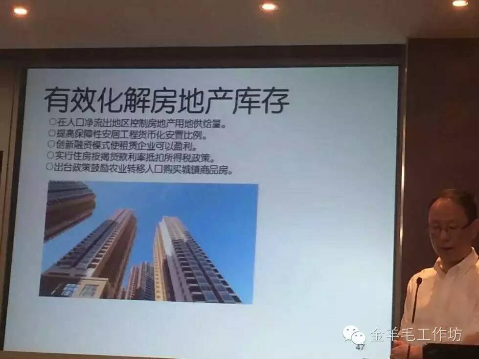 高层核心智囊痛心疾首：通过加杠杆去库存风险很大(图19)