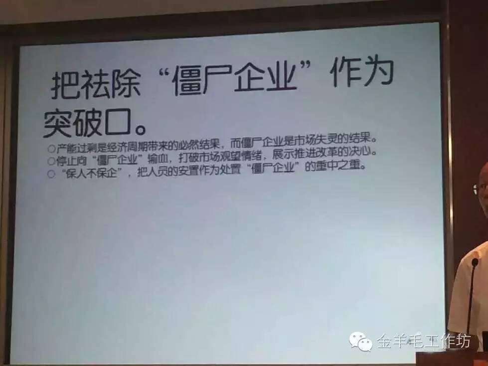 高层核心智囊痛心疾首：通过加杠杆去库存风险很大(图13)