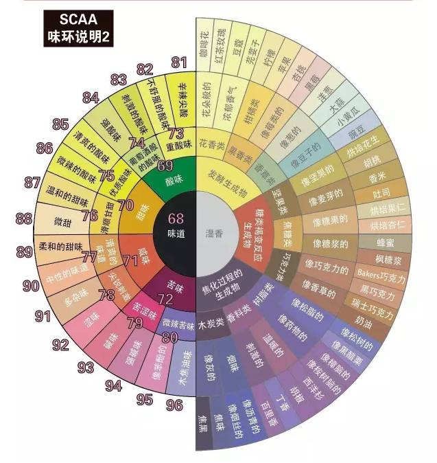 咖啡风味轮新旧版对比