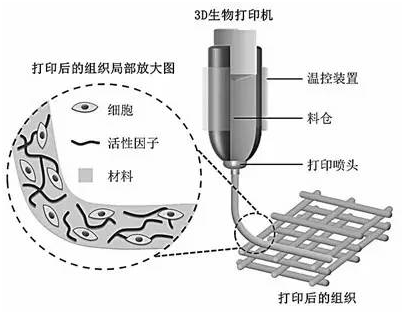 生物工程的基本原理是_高中生物 5.1生态工程的基本原理指点迷津(结)新人教版选修3