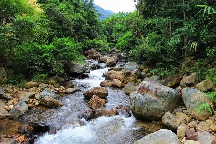 樟木头观音山森林公园