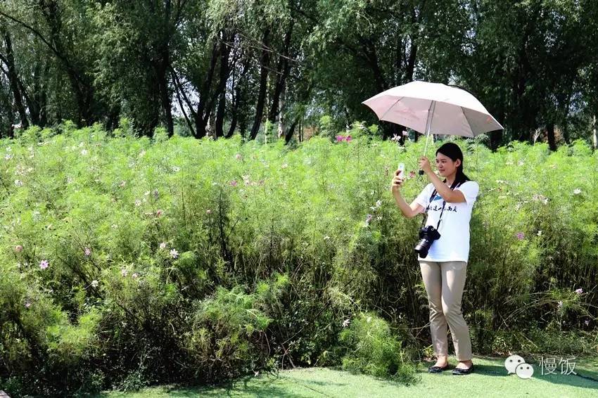 银川西夏区有史以来迎来了第一批网红达人全媒体视角深度游览最美风景