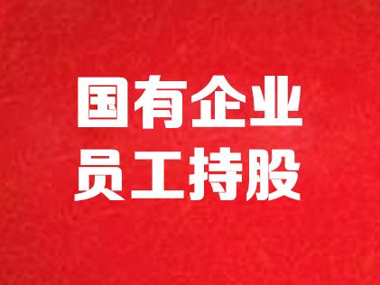 江西省混合所有制企业员工福利及员工持股可行性分析