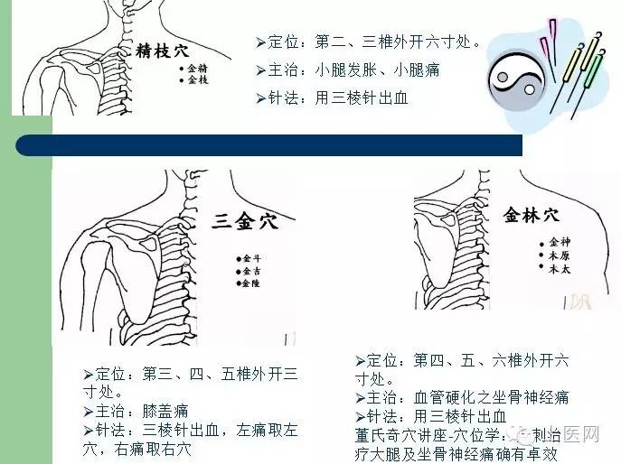 针灸和脍炙人口_脍炙人口图片(2)