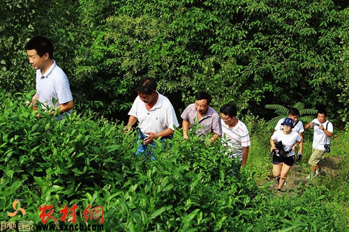 商南县有多少人口_一场关于商南人嘴巴的欲望革命,看完你会垂涎三尺