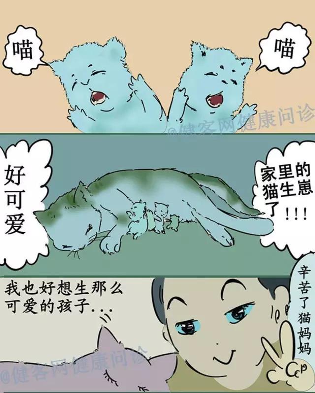 原创漫画:弓形虫!孕妇养宠物前要做哪些准备?