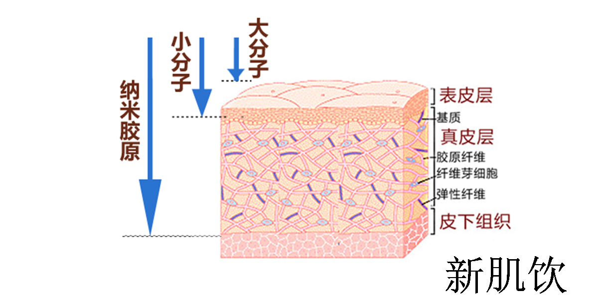 热拉提的原理_抗衰紧肤美容仪器好用吗 绿美涵 惠州抗衰紧肤美容仪器(2)