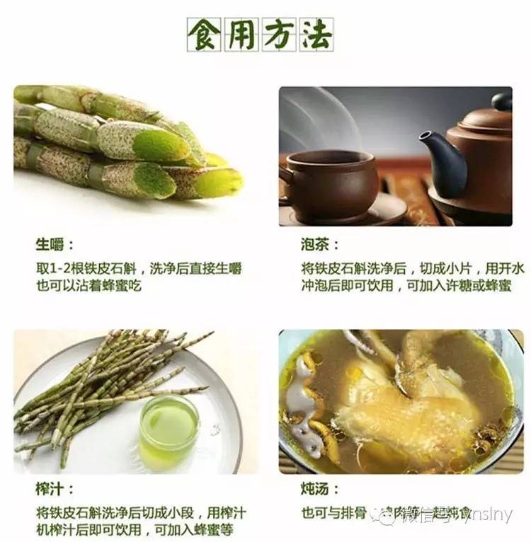 石斛的功效与作用及食用方法有哪些?