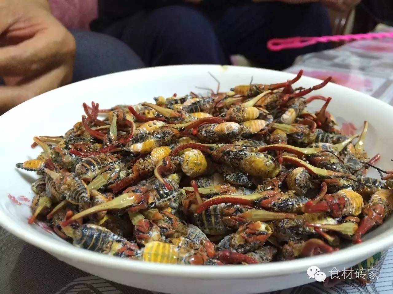 龙眼鸡是专门吸食龙眼树汁的昆虫,好吃的两广人民坚决不浪费任何能