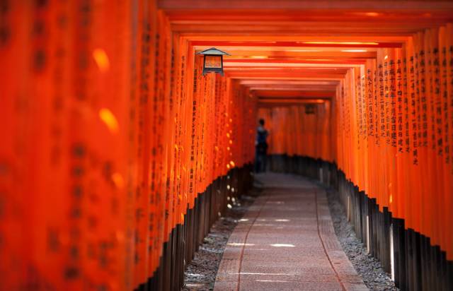 伏见稻荷神社