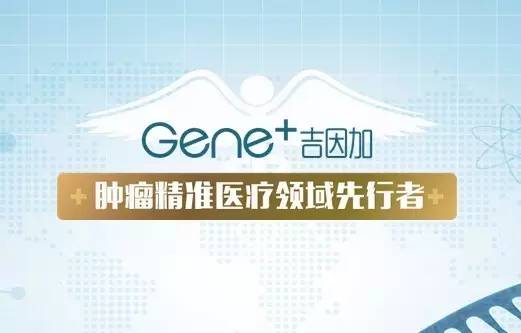 吉因加(gene)完成2亿元a轮融资