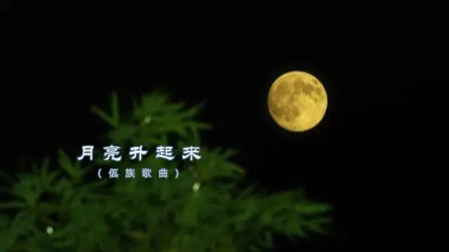 月亮升起来简谱_月亮代表我的心简谱(2)