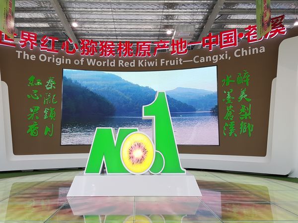 全球首家猕猴桃交易中心在四川苍溪正式运行
