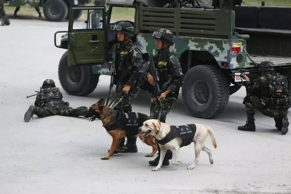 警备区特种警备团突击队员下车封控,军犬开始巡逻.