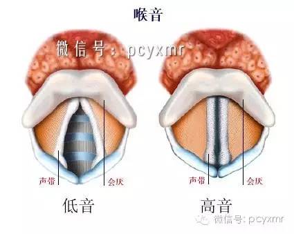 改变掌纹?给这些开脑洞的整形手术跪了