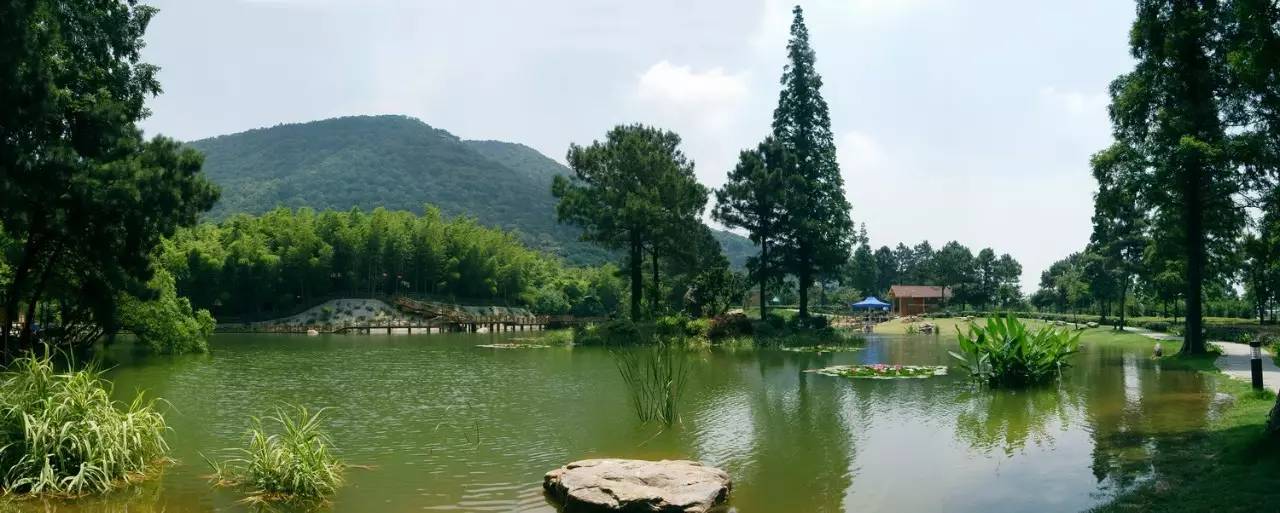 【旅游资讯】生态天地,真性乡野——常熟湿地概览