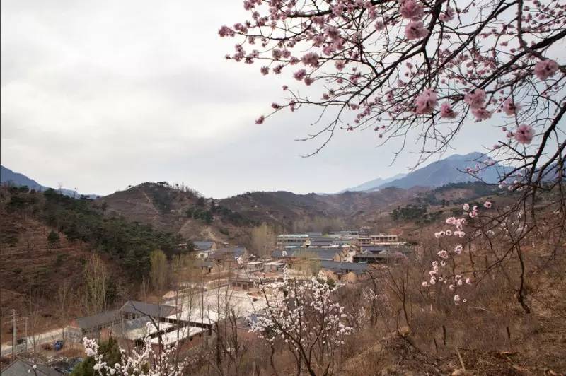 蓟县有多少人口_行走长城 遵化大安口 冷嘴头 蓟县大平安 黄崖关凤凰台(2)