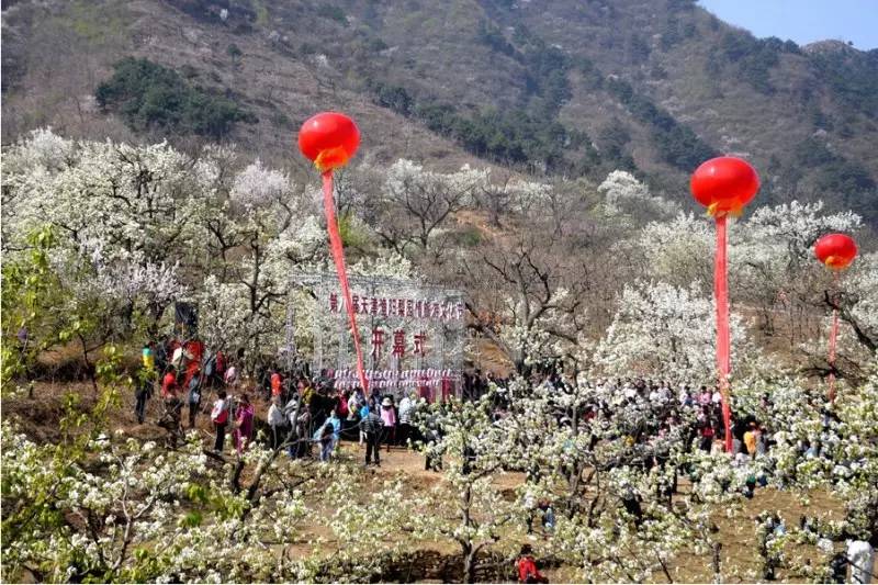 天津市蓟州区下营镇团山子村 每年四月中旬至五月底,崇山峻岭万亩