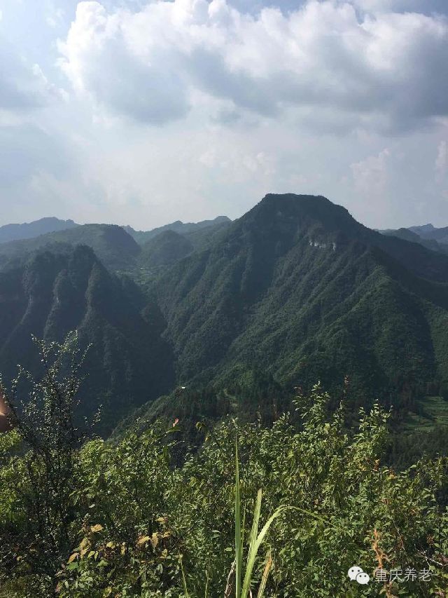 九坝镇多少人口_北流隆盛镇有多少人口