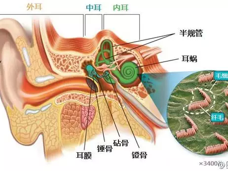 免费耳蜗开始申请