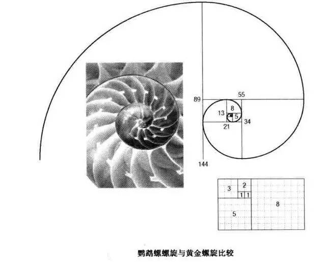 【金汇学堂】金融市场的黄金法则(一)----斐波那契回调