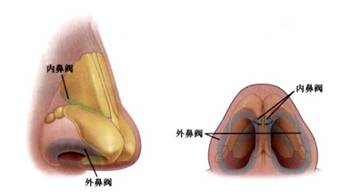 吸人口鼻之气_阳刚之气图片(2)