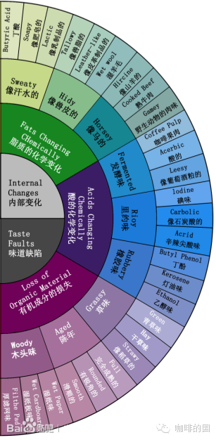 咖啡知识解读精品咖啡风味轮的85种风味