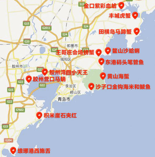 明日开海!这份最全"海货地图"青岛人必须收好了