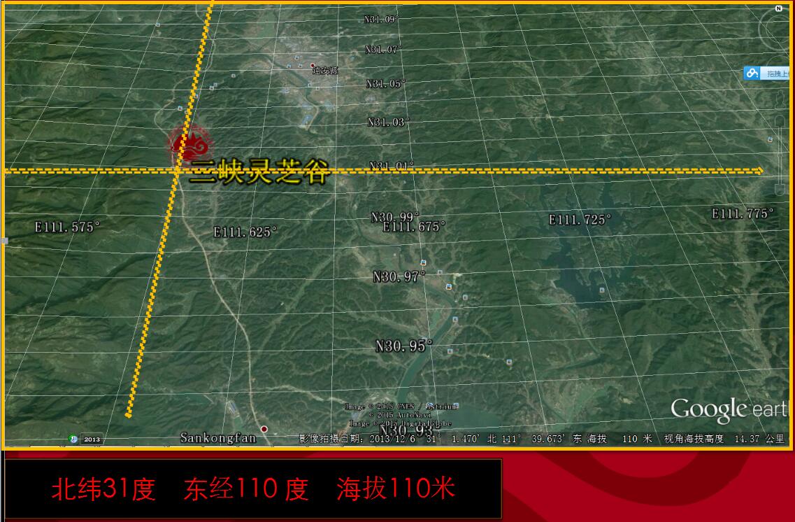 科普 正文 三峡灵芝谷位于北纬31度,这一纬度线上聚集了无数美丽而