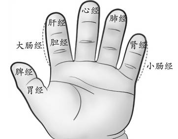 用大拇指与食指,揉搓手指头上长出指甲的地方两侧,一处约揉搓20秒钟.