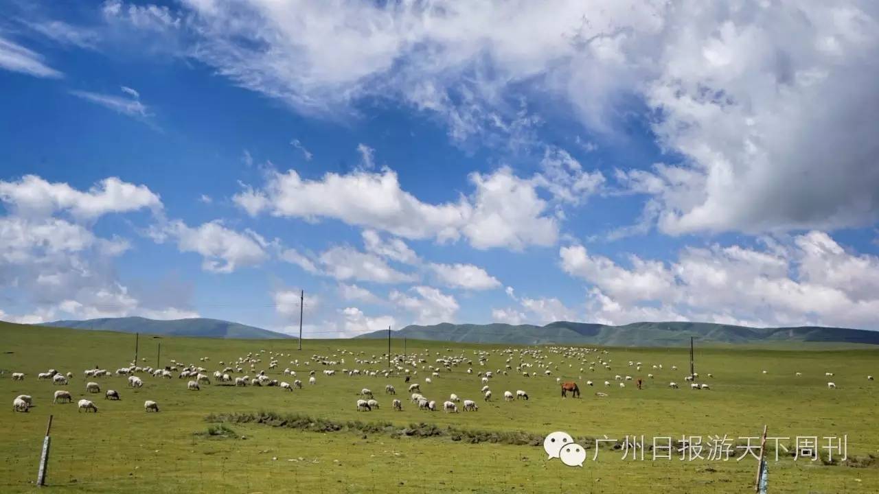 青海海西州 探寻千年神秘文明