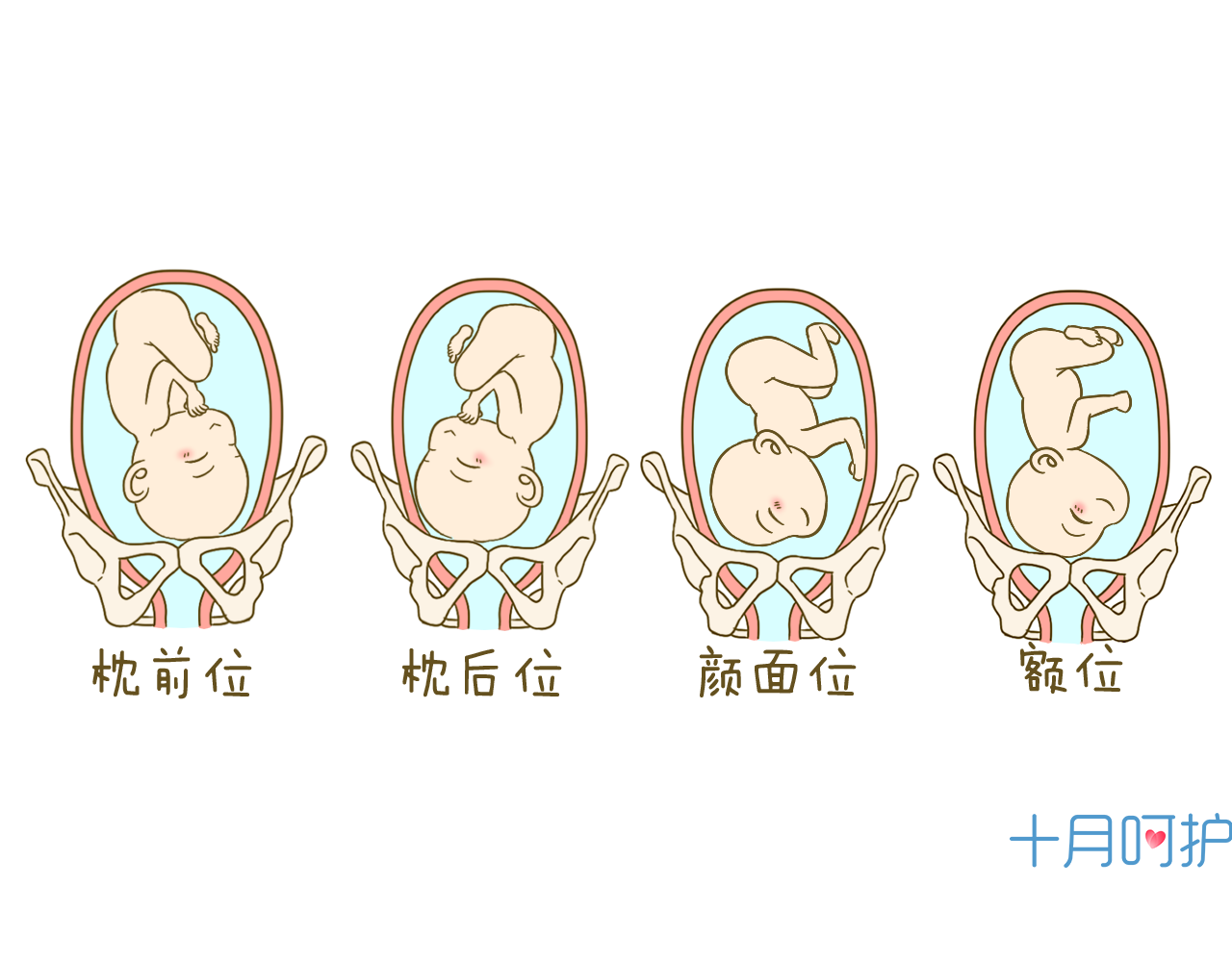 孕妇摸肚子对胎儿好吗? 孕期这4种情况不能摸肚子！_胎盘