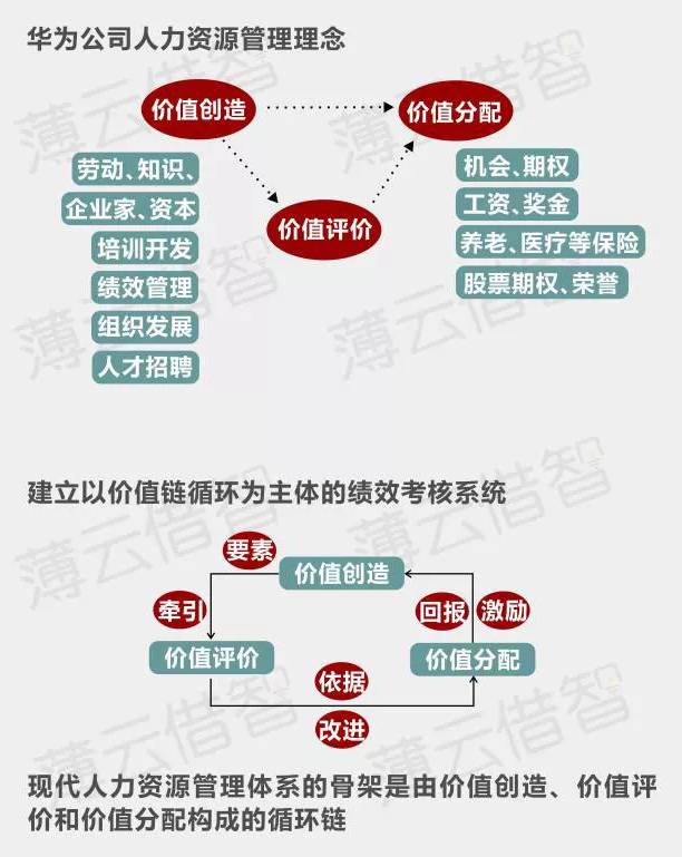 华为为什么这样牛-人力资源管理篇别具一格