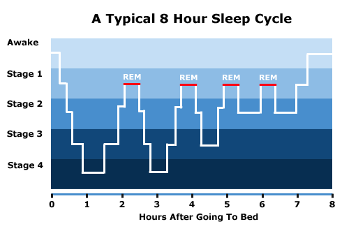 average rem sleep per night