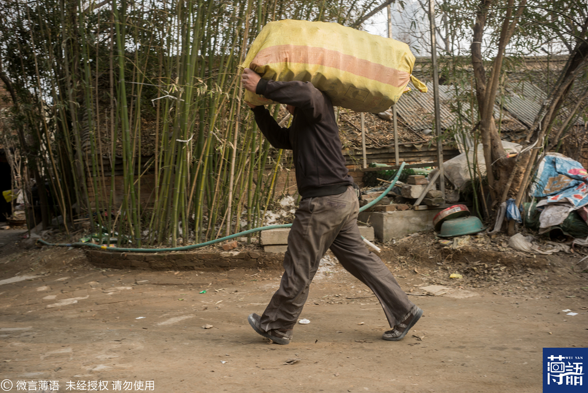 农民工每天扛40吨货物 只为给老娘看病