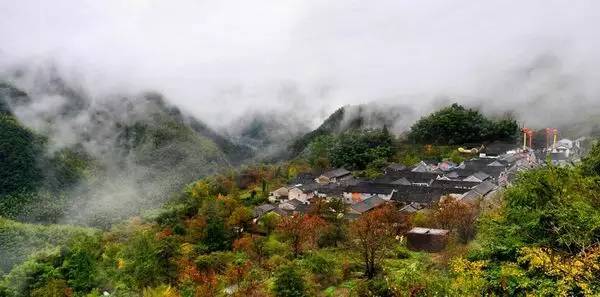 地址:余姚市大岚镇柿林村