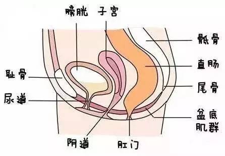 你得先修复好这个部位!