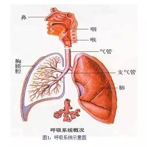 两岁宝宝不小心喝了这个,差点没命_健康_南阳