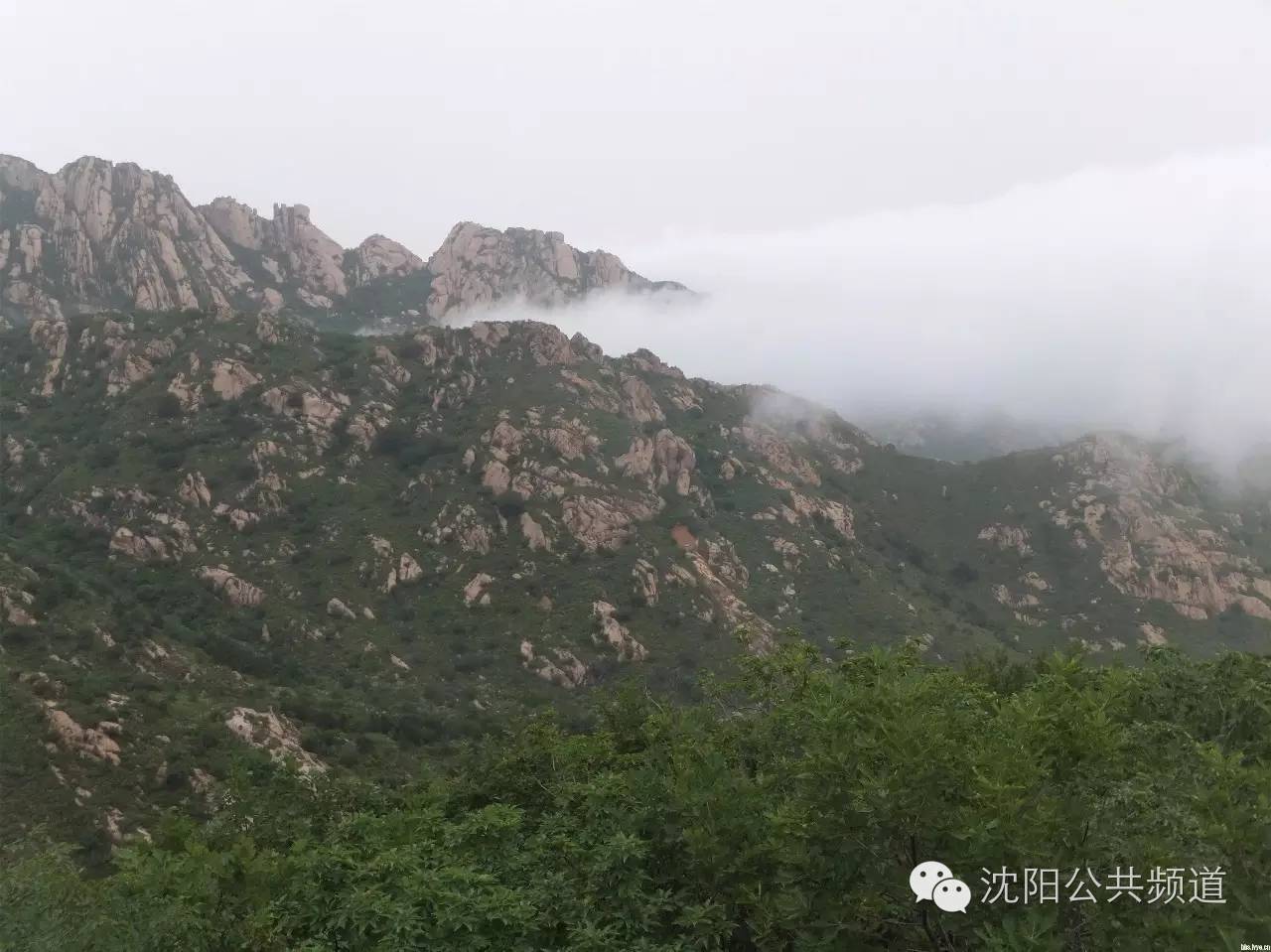 葫芦岛虹螺岘人口_葫芦岛虹京国际全景图