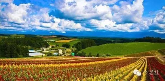 从欧洲农业看中国休闲农业与乡村旅游的建设-