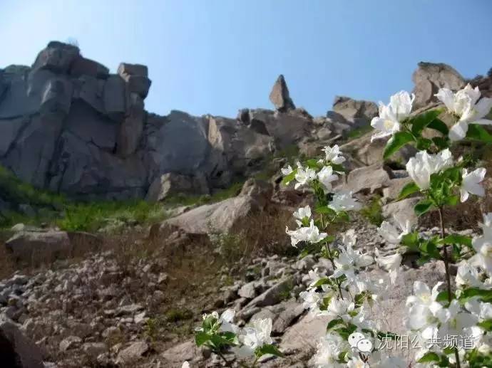 葫芦岛虹螺岘人口_葫芦岛虹京国际全景图(2)