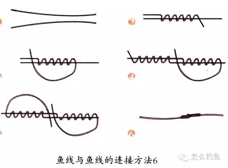 四,鱼线与鱼线的连接方法三,线套打法二,死结打法一,活结打法