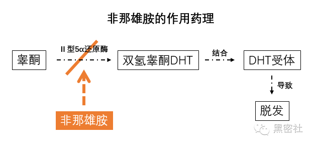 非那雄胺配合低能量激光疗法的有效生发率高达89%