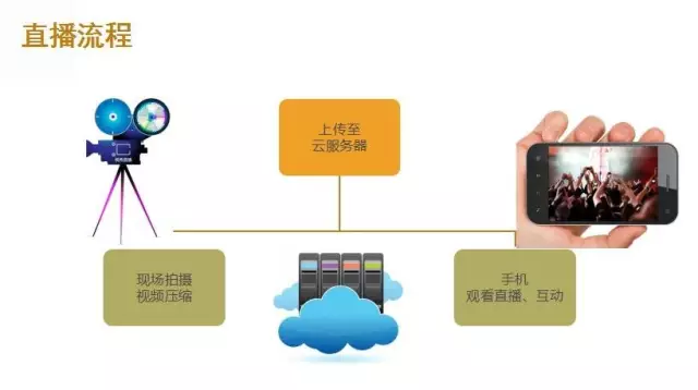 九游会老哥俱乐部直播路漫漫 区域网站何去何从？(图1)