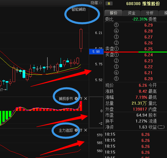 维维股份600300最新主力曝光 就在一分钟前!