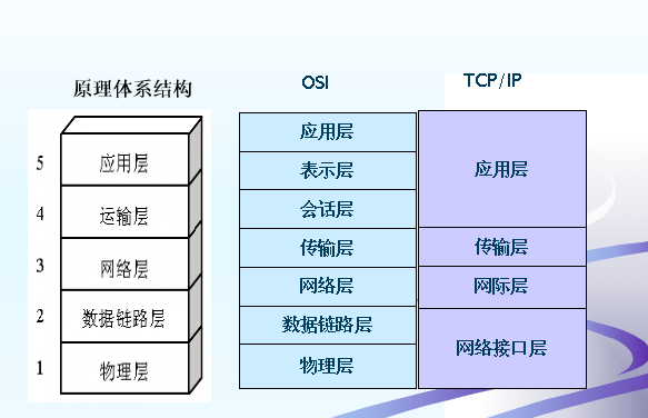 计算机网络体系结构和协议