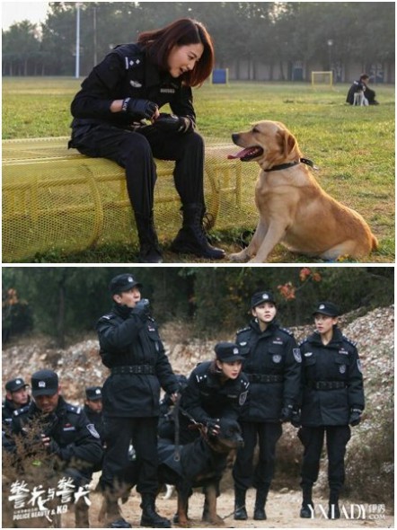 《警花与警犬》完美收官 第二部将开拍