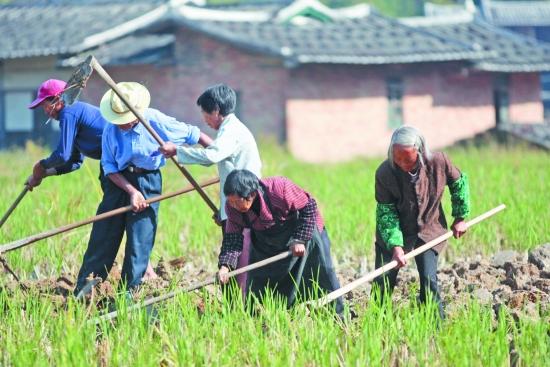 大冶常住人口_常住人口登记表(3)