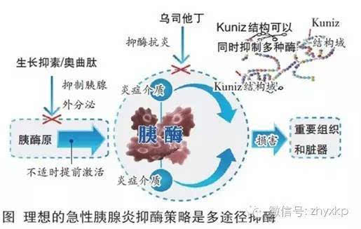 急性胰腺炎住院了,这些话必须得说