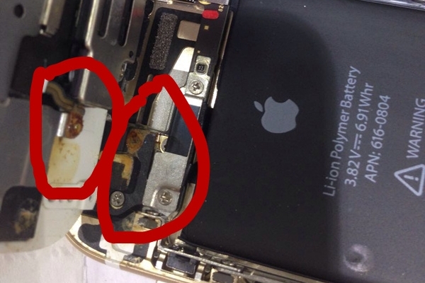 苹果6手机掉水里了怎么办